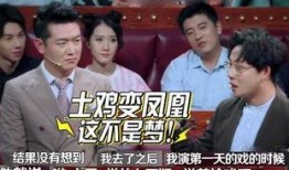 刘维爆料录音视频大全集,揭秘娱乐圈幕后真相