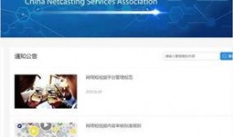 视频爆料规则有哪些内容,你必须知道的五大要点