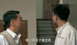 小舅子爆料姐夫离婚视频,真相揭露家庭变故背后的秘密