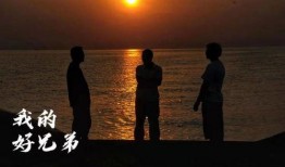 九首歌在线手机观看,在线手机尽享视听盛宴